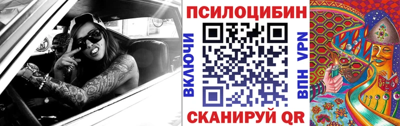 Псилоцибиновые грибы Psilocybe  kraken как зайти  Демидов 